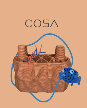 Cosa brick