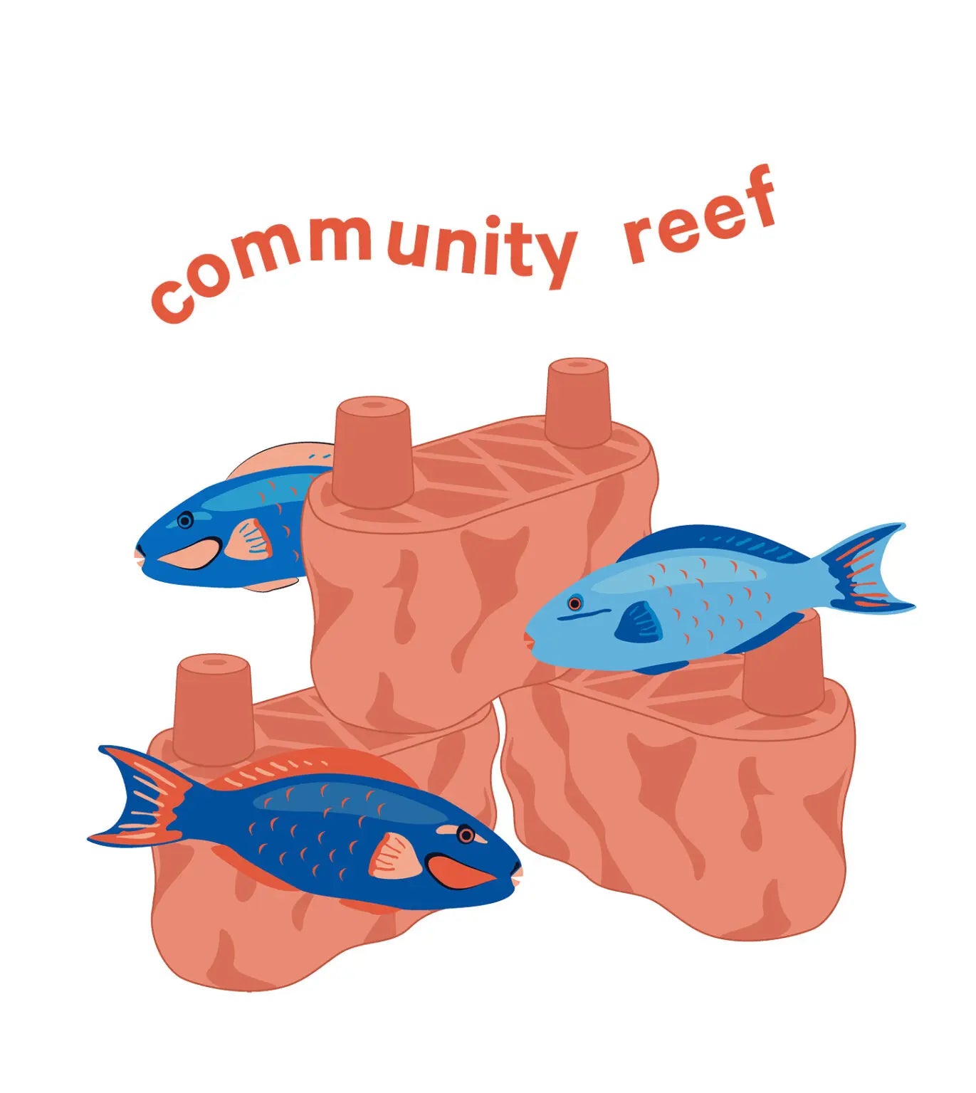 build a parrotfish paradise