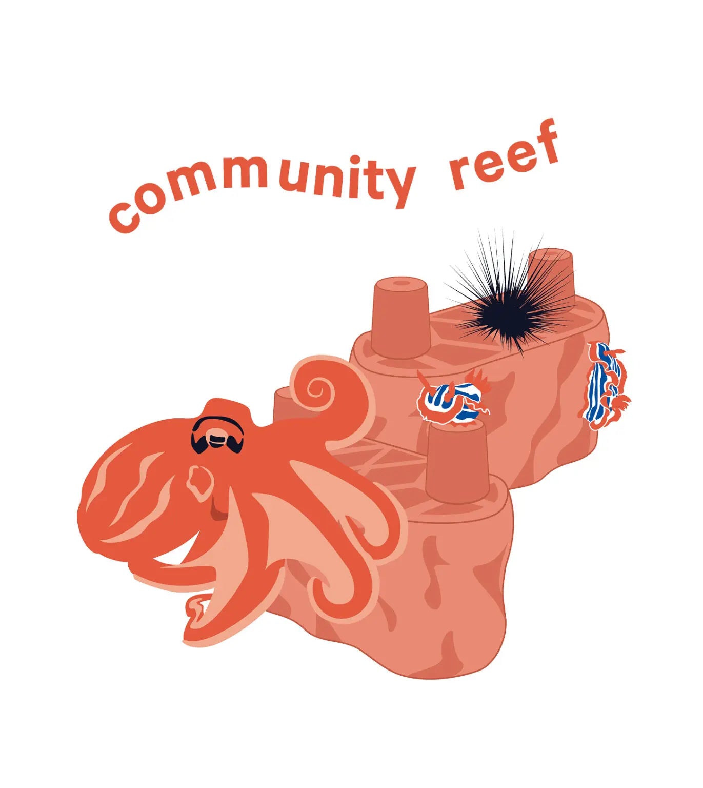 build a mollusk manor